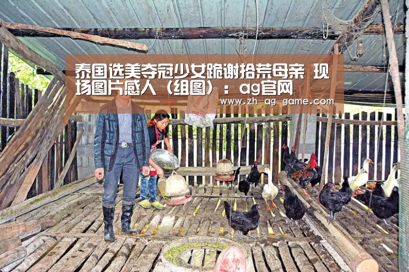 ag官网